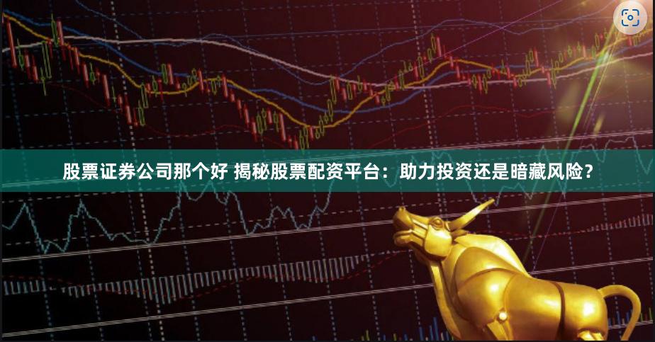 股票证券公司那个好 揭秘股票配资平台：助力投资还是暗藏风险？