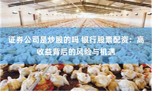 证券公司是炒股的吗 银行股票配资：高收益背后的风险与机遇
