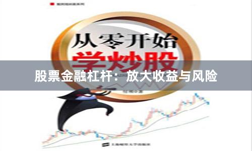 股票金融杠杆：放大收益与风险