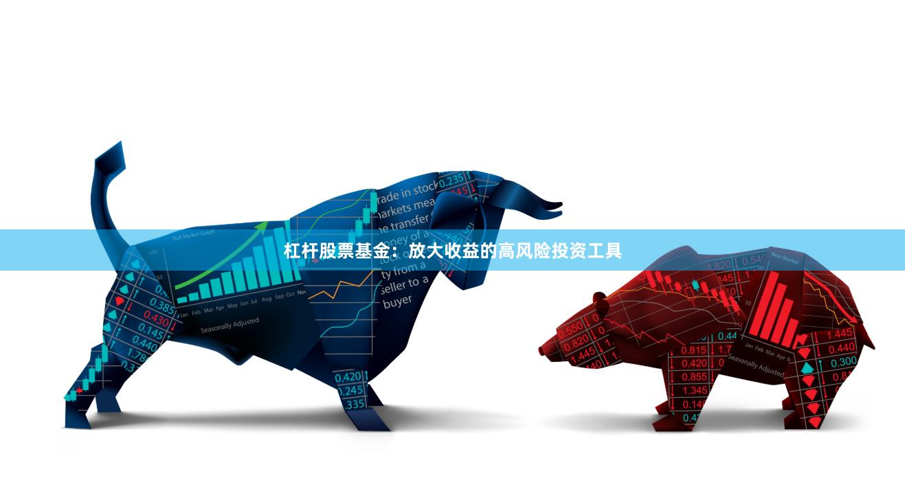 杠杆股票基金：放大收益的高风险投资工具